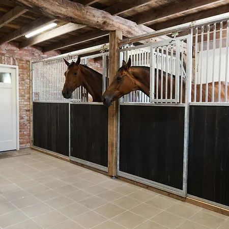 Ferienhaus Landgoed Boneman