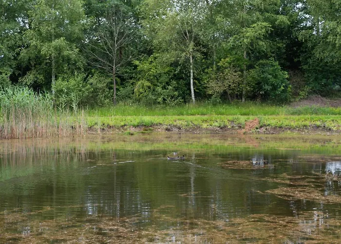 Landgoed Boneman * Meddo