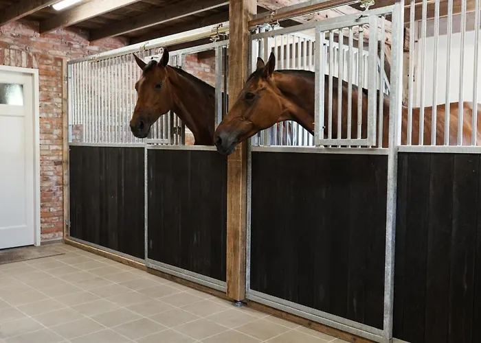 Сasa de vacaciones Landgoed Boneman